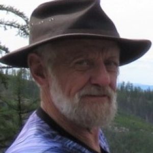 Profile photo of Wayne Reid