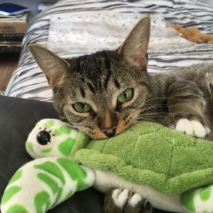 Profile photo of dworetzky tom