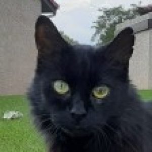Profile photo of Nora B Anderson